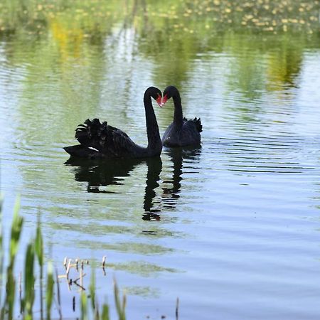 فيلا Dom Na Wodzie Mazury Dzwierzuty المظهر الخارجي الصورة