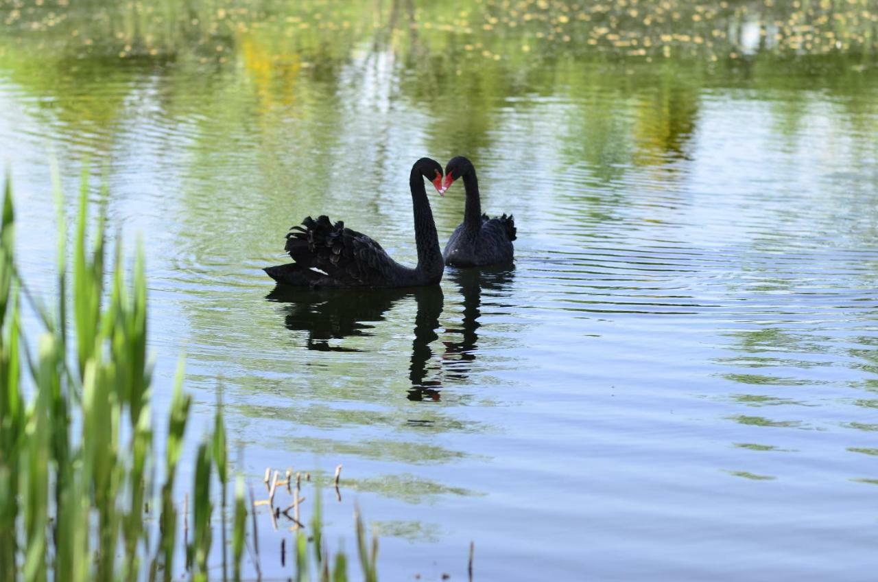 فيلا Dom Na Wodzie Mazury Dzwierzuty المظهر الخارجي الصورة