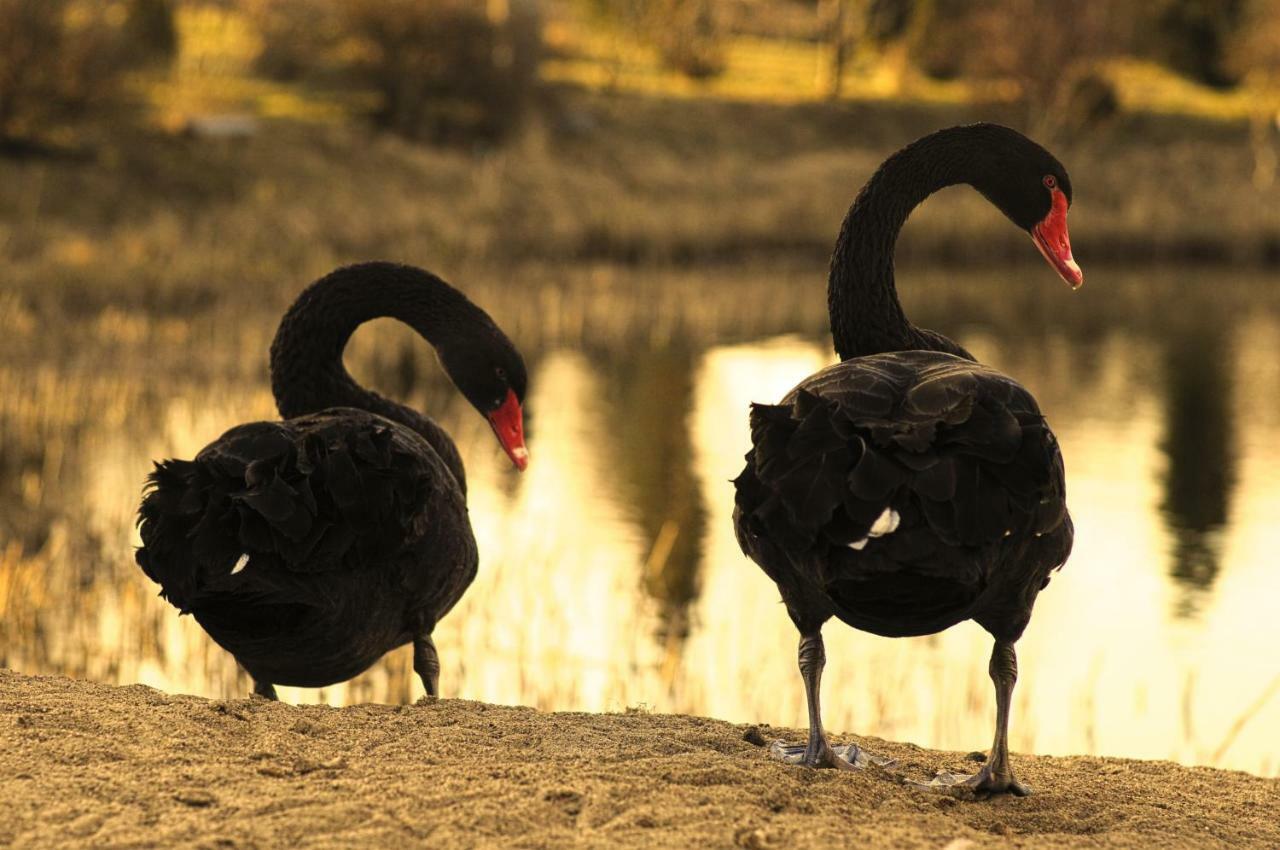 فيلا Dom Na Wodzie Mazury Dzwierzuty المظهر الخارجي الصورة
